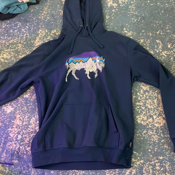 Patagonia Other - Patagonia Hoodie